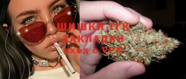 ПСИЛОЦИБИНОВЫЕ ГРИБЫ Строитель