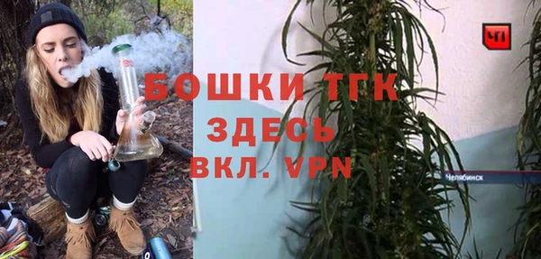 стафф Верхний Тагил